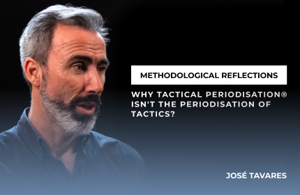 Methodological Reflection - José Tavares