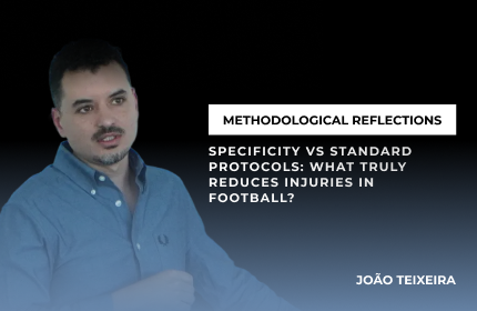 Methodological Reflections - João Teixeira