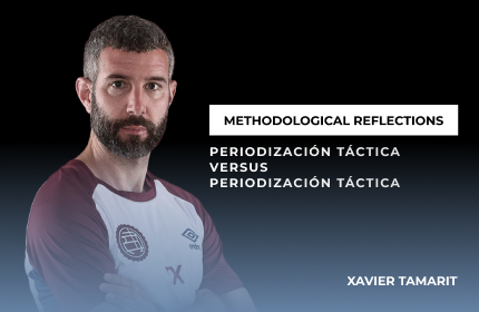 Methodological Reflections - Xavier Tamarit